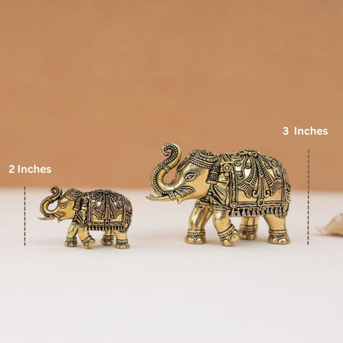 Brass Up Trunk Beautiful Carving Vastu Elephant In 2 & 3 Inches